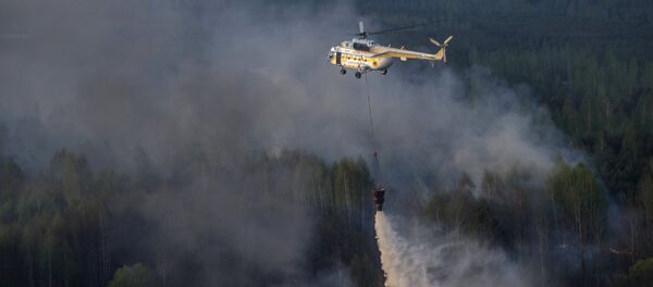 Incendio forestal en la zona de Chernóbil, Ucrania (archivo) - Sputnik Mundo