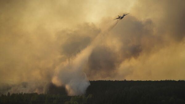 Incendio forestal en Chernóbil - Sputnik Mundo