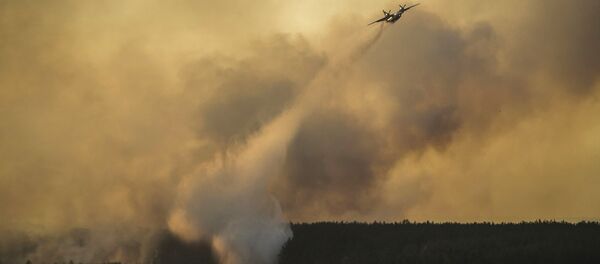 Incendio forestal en Chernóbil - Sputnik Mundo