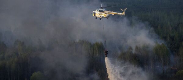 Incendio en la zona de exclusión de Chernóbil - Sputnik Mundo