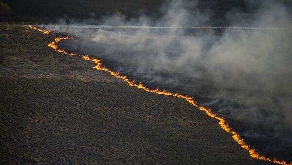 Incendio forestal en Chernóbil - Sputnik Mundo