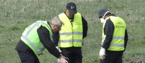 Se da por concluida la recogida de fragmentos del MH17 en Donbás Se da por concluida la recogida de fragmentos del MH17 en Donbás - Sputnik Mundo