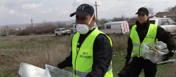 Restos del Boeing 777 de Malaysia Airlines, siniestrado en Donbás (Archivo) - Sputnik Mundo