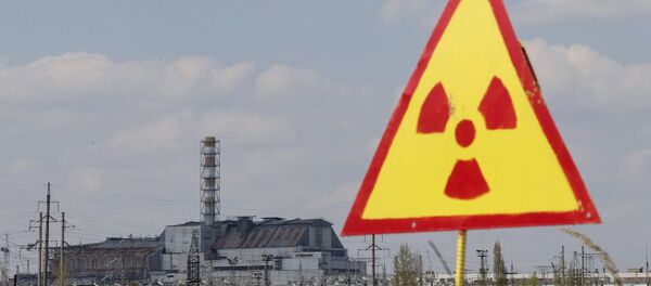 A general view shows of the sarcophagus covering the damaged fourth reactor at the Chernobyl nuclear power plant, northern Ukraine May 1, 2015. - Sputnik Mundo