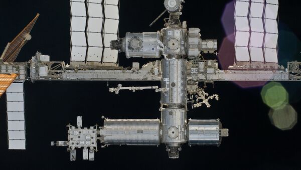 Estación Espacial Internacional (EEI) - Sputnik Mundo