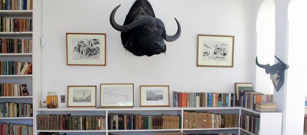 El escritorio del Hemingway en Finca Vigia - Sputnik Mundo