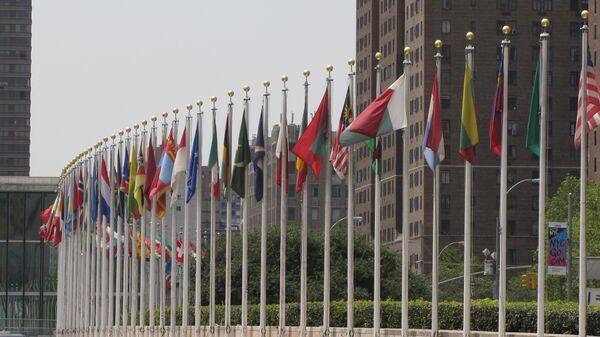 Banderas de los Estados Miembros de las Naciones Unidas frente de la sede de la ONU en Nueva York - Sputnik Mundo