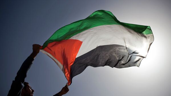 Bandera de palestina (archivo) - Sputnik Mundo