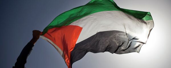 Bandera de palestina (archivo) - Sputnik Mundo