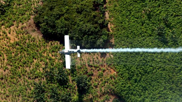 Fumigación de plantacion de coca - Sputnik Mundo