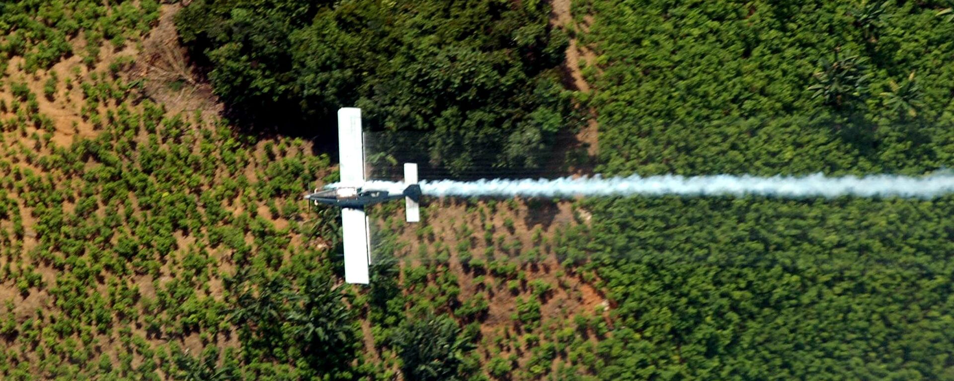 Fumigación de plantacion de coca - Sputnik Mundo, 1920, 12.03.2021