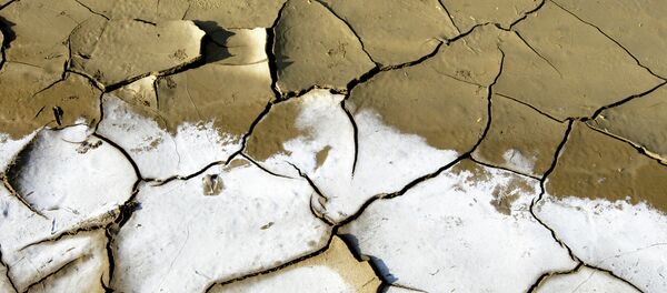 Sequía (archivo) - Sputnik Mundo