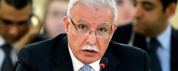 Riad al-Maliki, ministro de Exteriores de Palestina (archivo) - Sputnik Mundo