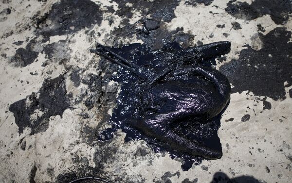 Vertido de crudo en la costa de California - Sputnik Mundo