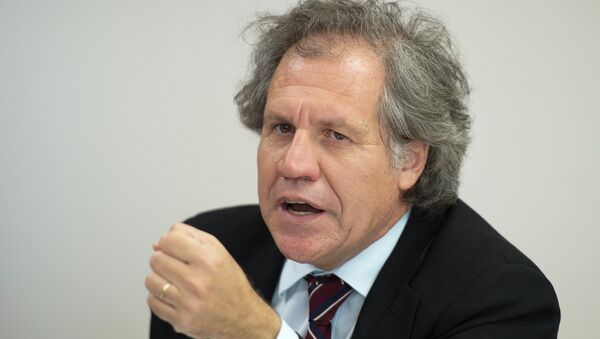 Luis Almagro, secretario general de la Organización de Estados Americanos (archivo) - Sputnik Mundo