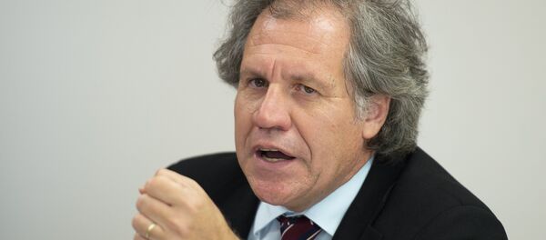 Uruguay's Minister of Foreign Affairs Luis Almagro announces his candidacy for the Organization of American States General Secretariat during a press conference at the Uruguay Embassy in Washington, DC, July 3, 2014 - Sputnik Mundo