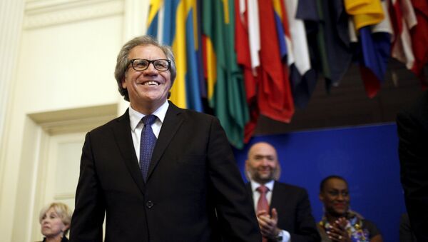 Luis Almagro, secretario general de la OEA - Sputnik Mundo