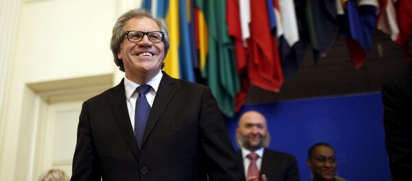 Luis Almagro, secretario general de la OEA Luis Almagro, secretario general de la OEA - Sputnik Mundo