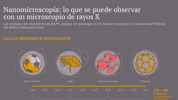 Nanomicroscopía: lo que se puede observar con un microscopio de rayos X - Sputnik Mundo