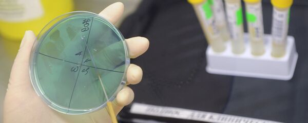 Un laboratorio químico (imagen referencial) - Sputnik Mundo