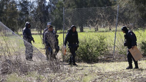 Policías mexicanos en Michoacán - Sputnik Mundo