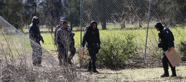 Policías mexicanos en Michoacán - Sputnik Mundo