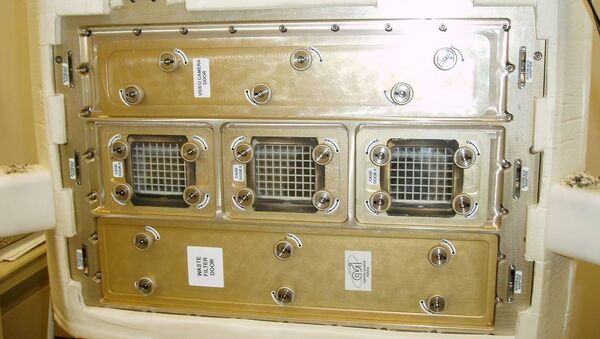 ‘Mice Drawer System’ - Sputnik Mundo