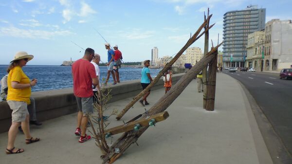 Secondary Growth Line Extension, David Opdyke - Sputnik Mundo