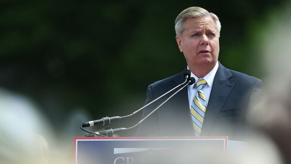 El senador estadounidense Lindsey Graham - Sputnik Mundo