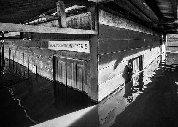 Las obras de los ganadores del I Concurso Internacional de Periodismo Fotográfico Andréi Stenin - Sputnik Mundo