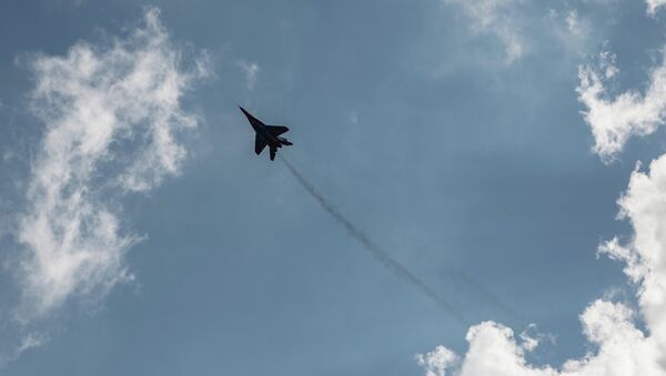 Caza MiG-29 (archivo) Caza MiG-29 (archivo) - Sputnik Mundo