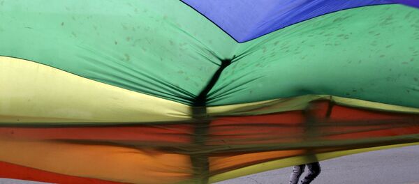 LGBT de Bolivia piden legalizar parejas homosexuales - Sputnik Mundo