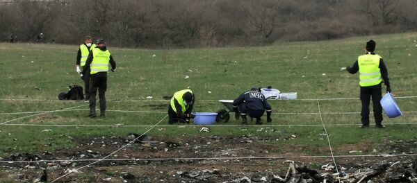 Lugar del siniestro del Boeing MH17 - Sputnik Mundo