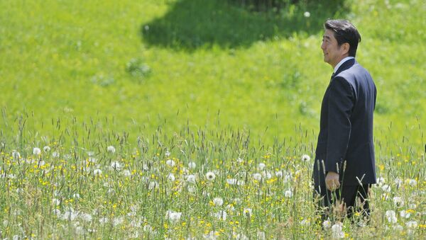 Shinzo Abe, primer ministro de Japón - Sputnik Mundo