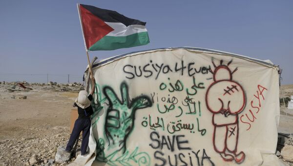 Niño colocando la bandera de Palestina - Sputnik Mundo