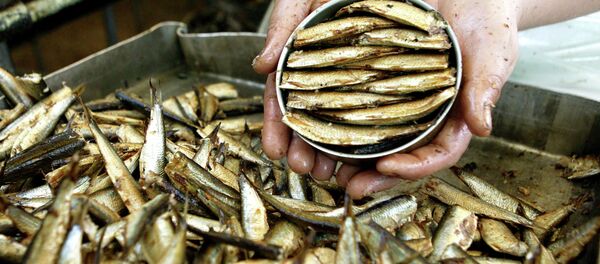 Combinado de conservas de pescado - Sputnik Mundo