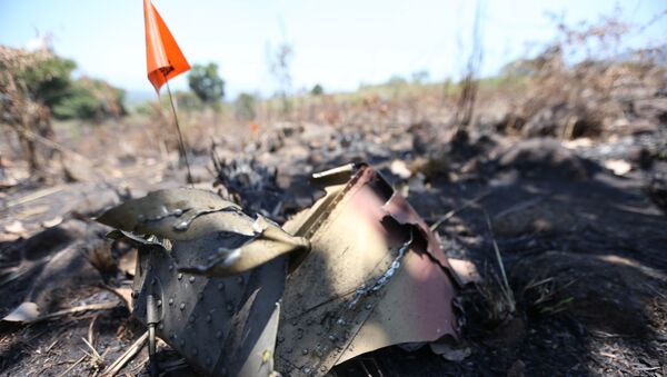 Restos del helicóptero militar Cougar en la comunidad de Villa Vieja, Jalisco, México - Sputnik Mundo