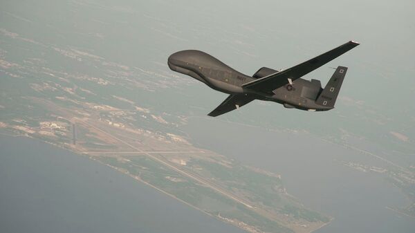 Avión no tripulado de EEUU RQ-4 Global Hawk - Sputnik Mundo