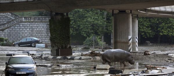 Al menos 11 muertos debido a inundaciones en Tiflis - Sputnik Mundo