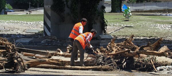 Situación en Tiflis - Sputnik Mundo