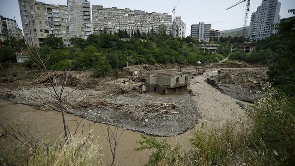 Situación en Tiflis - Sputnik Mundo