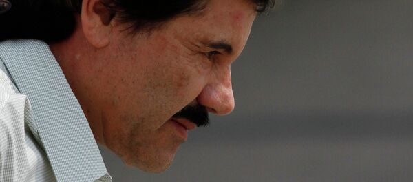 Joaquín el 'Chapo' Guzmán Joaquín el 'Chapo' Guzmán - Sputnik Mundo