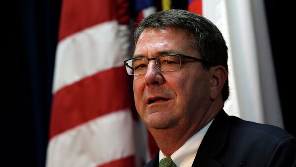 Ashton Carter, secretario de Defensa de EEUU - Sputnik Mundo