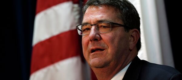 Ashton Carter, secretario de Defensa de EEUU - Sputnik Mundo