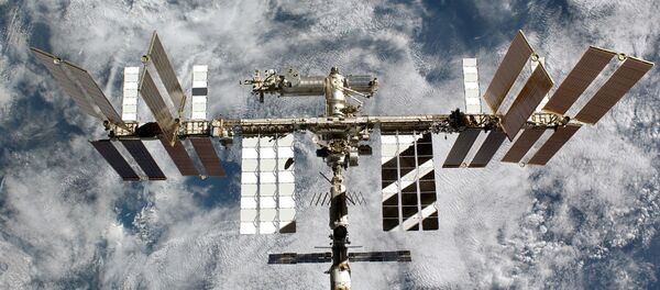 Estación Espacial Internacional (EEI) - Sputnik Mundo