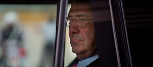 Ashton Carter, secretario de Defensa de EEUU - Sputnik Mundo