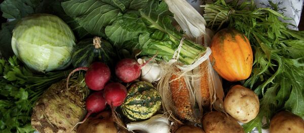 Egipto busca sustituir a Turquía en el mercado ruso - Sputnik Mundo