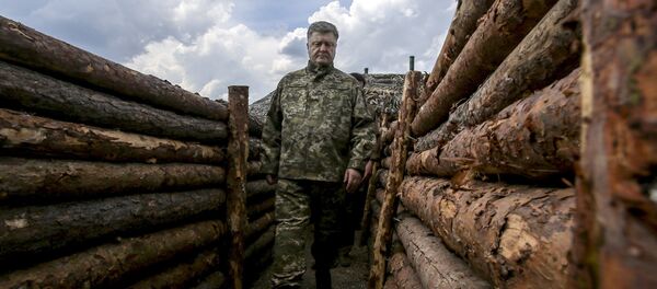 Presidente de Ucrania, Petro Poroshenko, durante una inspección de las trincheras en la región de Donetsk. 11 de junio de 2015 - Sputnik Mundo
