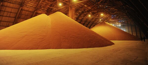 Potasio - Sputnik Mundo