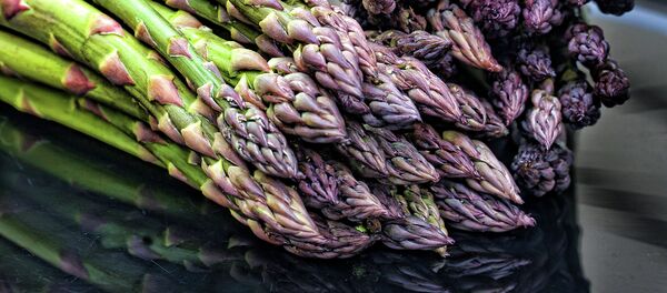 Espárragos - Sputnik Mundo